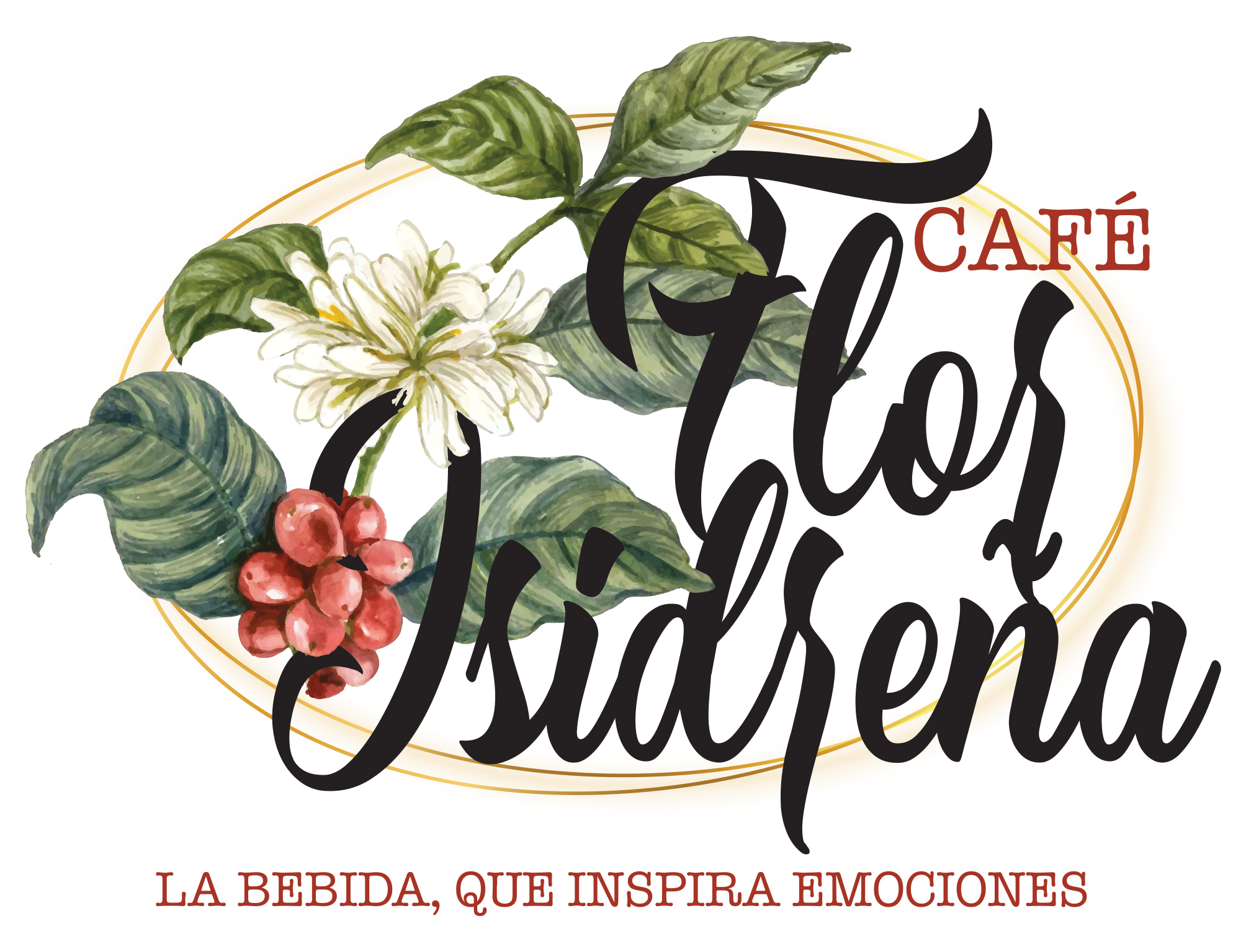 Café Florisidreña — Gallery 5